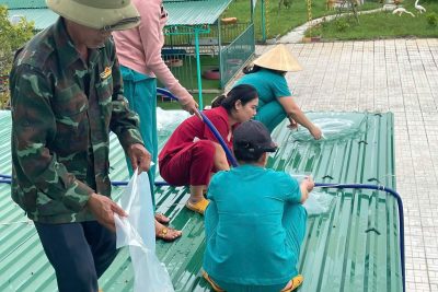 Trường Mầm non Phổ Châu phối hợp với lực lượng Công an, Biên phòng, Dân quân chủ động ứng phó với cơn bão số 13(KALMAEGI)